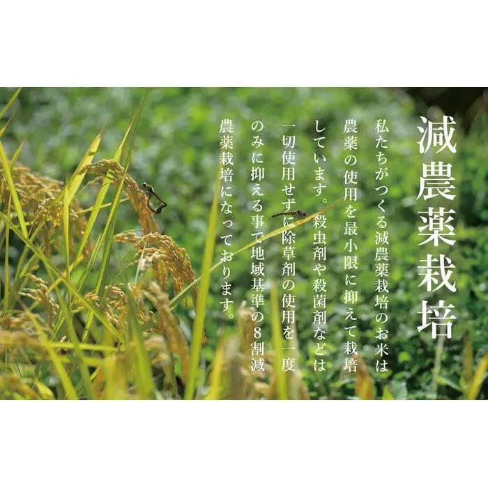 【令和7年】関智晴がつくる南魚沼塩沢産コシヒカリ10kg（5kg×2個） 8割減農薬栽培米 | コシヒカリ