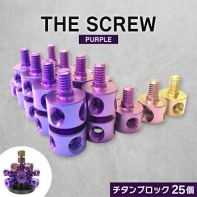 ふるさと納税 岡崎市 THE SCREW(チタン25個セット)パープル系