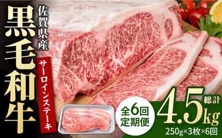 【6回定期便】佐賀県産 黒毛和牛 サーロインステーキ 750g / ステーキ [IAG091]