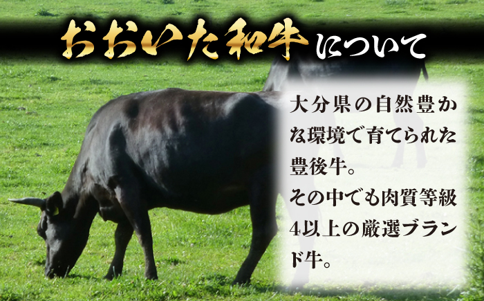 おおいた和牛ヒレステーキ(150g×3枚)　日田市 / (株)吉野(デリカミート吉野) 和牛 ヒレ ヒステーキ [ARFE001]