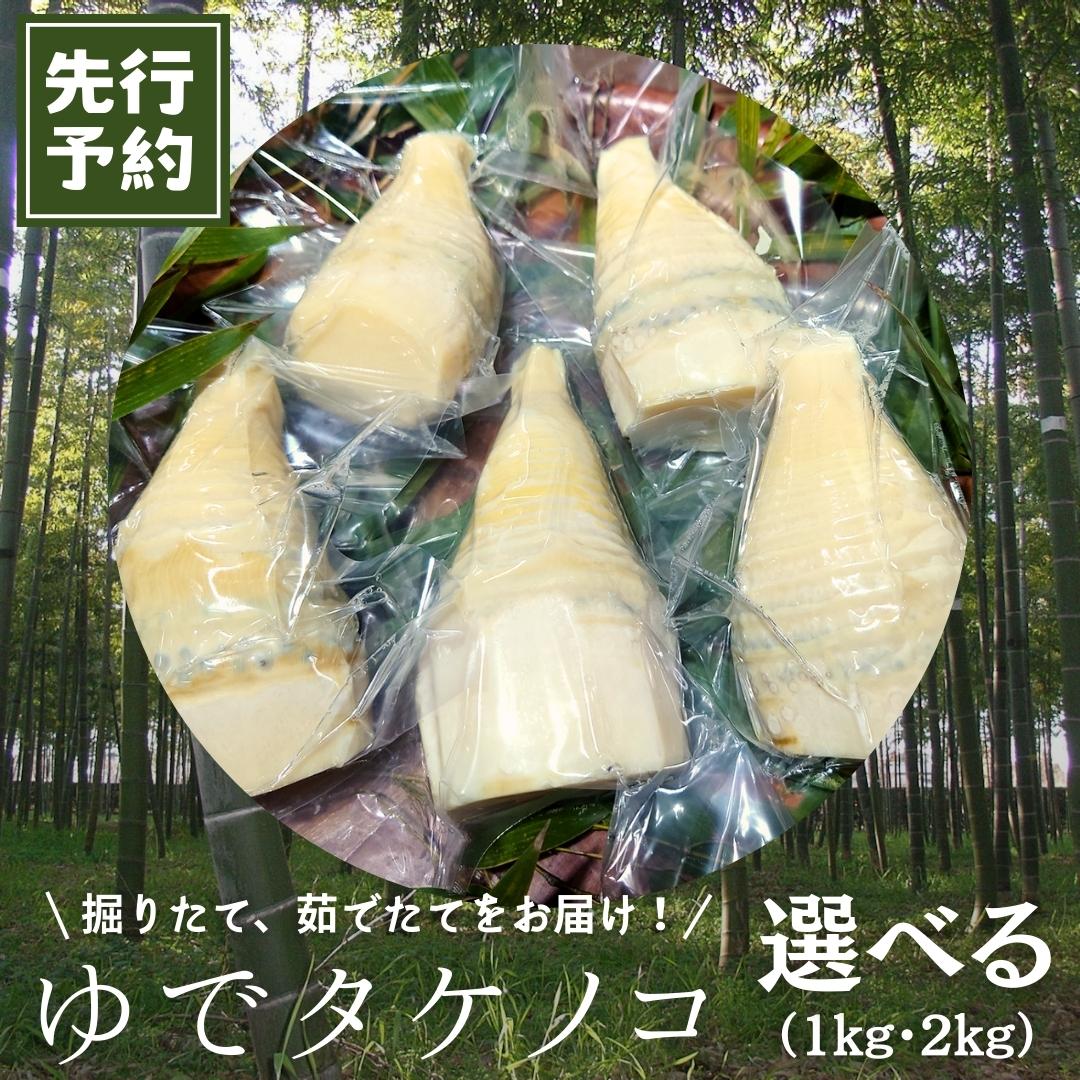 【ふるさと納税】＼選べる内容量／《 先行予約 》新鮮な ゆでタケノコ 【2026年4月上旬以降発送】 約1kg・約2kg 竹の子 1キロ 2キロ 筍 たけのこ 水煮 真空パック 国産 たけのこご飯
