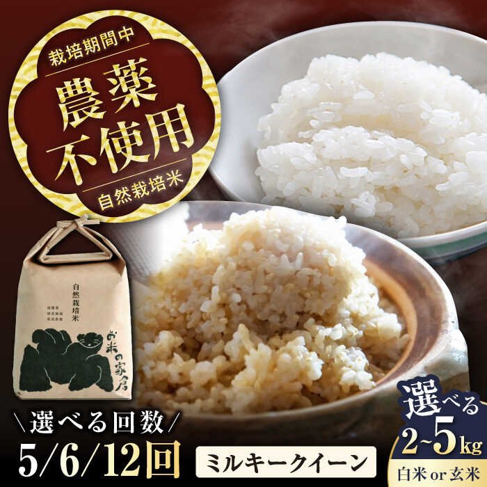 【ふるさと納税】【令和7年産】【選べる精米方法/容量/定期便回数】 自然栽培米 ミルキークイーン 2kg 5kg 白米 玄米 全5回 全6回 全12回 滋賀県長浜市/お米の家倉[AQCP007] 米 こめ コメ お米 定期便 国産 精米 ご飯 おにぎり ごはん おこめ 人気 おすすめ