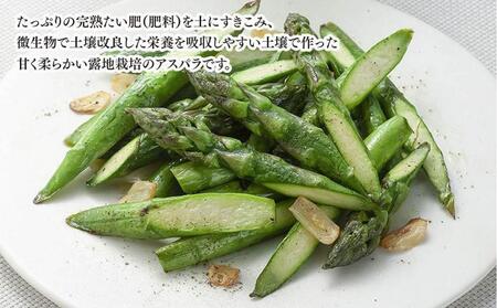 【2025年発送先行予約】【訳あり】露地物朝採りアスパラ 750g×1 　鮮度保持フィルム入り 【 アスパラ アスパラガス 朝採り とれたて 野菜 旬 小分け 保存 産直 産地直送 お取り寄せ 旭川市