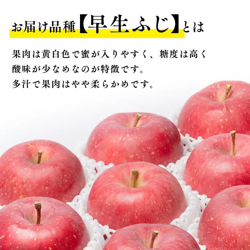  りんご 早生ふじ 約5kg 青森県平川市産[hi-0003-020]