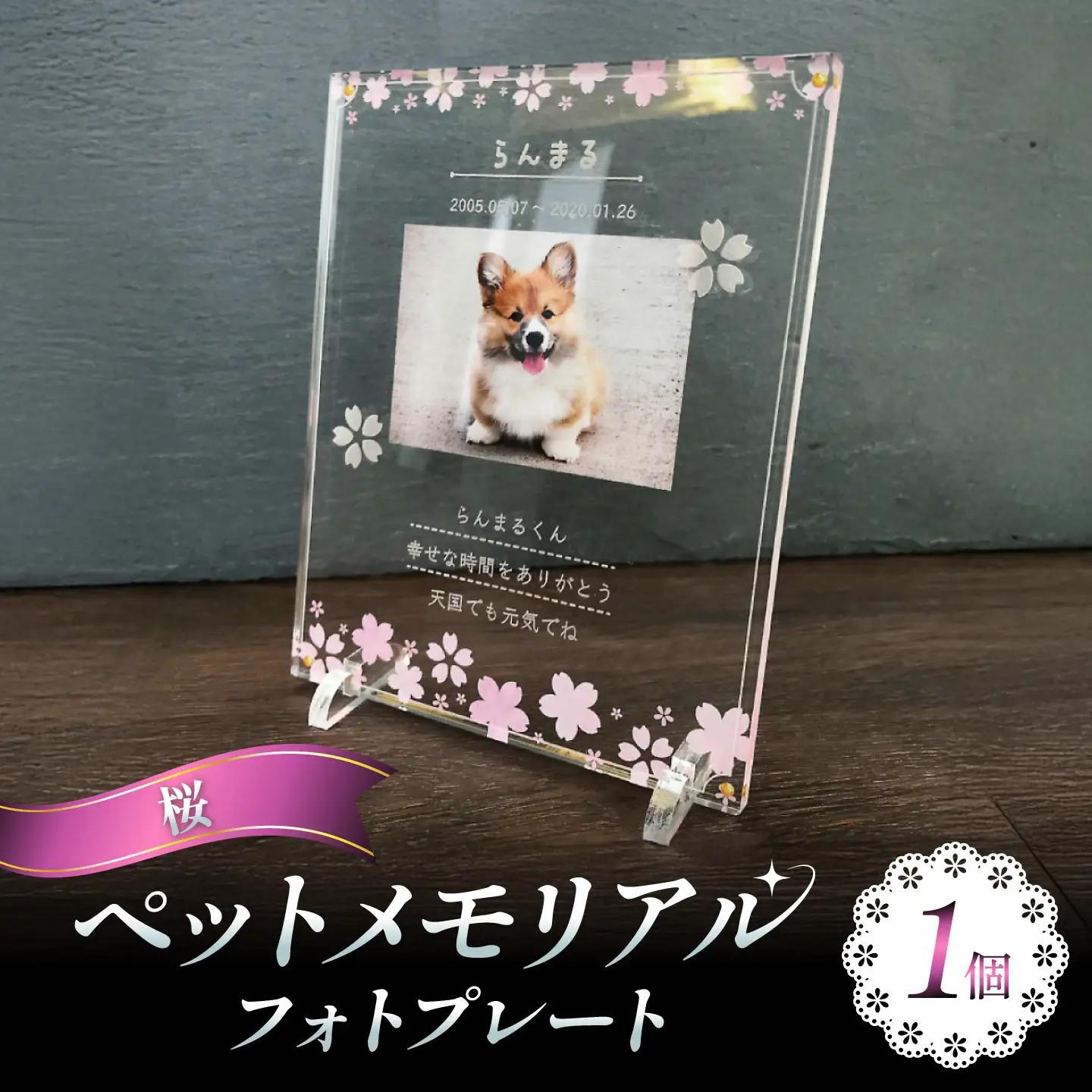 ペットメモリアルフォトプレート【桜】 / 思い出 ペット アクリルスタンド / 稲沢市 / Savoia[BMAN003-07]