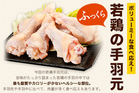 熊本県産 若鶏手羽元 約4kg 2kg×2P 《30日以内に出荷予定(土日祝除く)》 熊本県 葦北郡 津奈木町