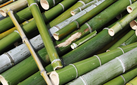 竹炭 中粒バラ 5kg ／ 中粒 バラ 消臭対策 調湿 空気ケア 水まろやか 水槽 土壌改良 園芸 ガーデニング エコ素材 ナチュラル生活 冷蔵庫 靴箱 大阪府 No.187-03