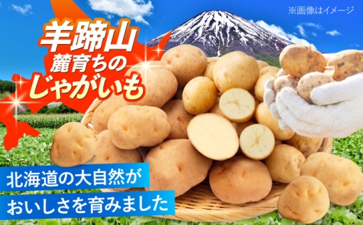 【2027年1月上旬以降順次発送】 じゃがいも 食べ比べセット（男爵・きたかむい）計20kg （10kg×2種） | じゃがいも ジャガイモ 男爵芋 きたかむい 北海道 産地直送 セット 先行予約 |