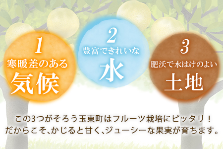 上田果樹園の元祖！玉東梨(旬の品種をお届けします)約5kg(8玉-16玉) 《7月下旬-9月下旬頃出荷》 ｜ブランド梨 人気梨 特産品梨 熊本県梨 玉東町梨 大人気返礼品