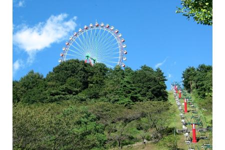 【相模湖東ICより約7分】さがみ湖MORI MORI＜ペア＞入園券