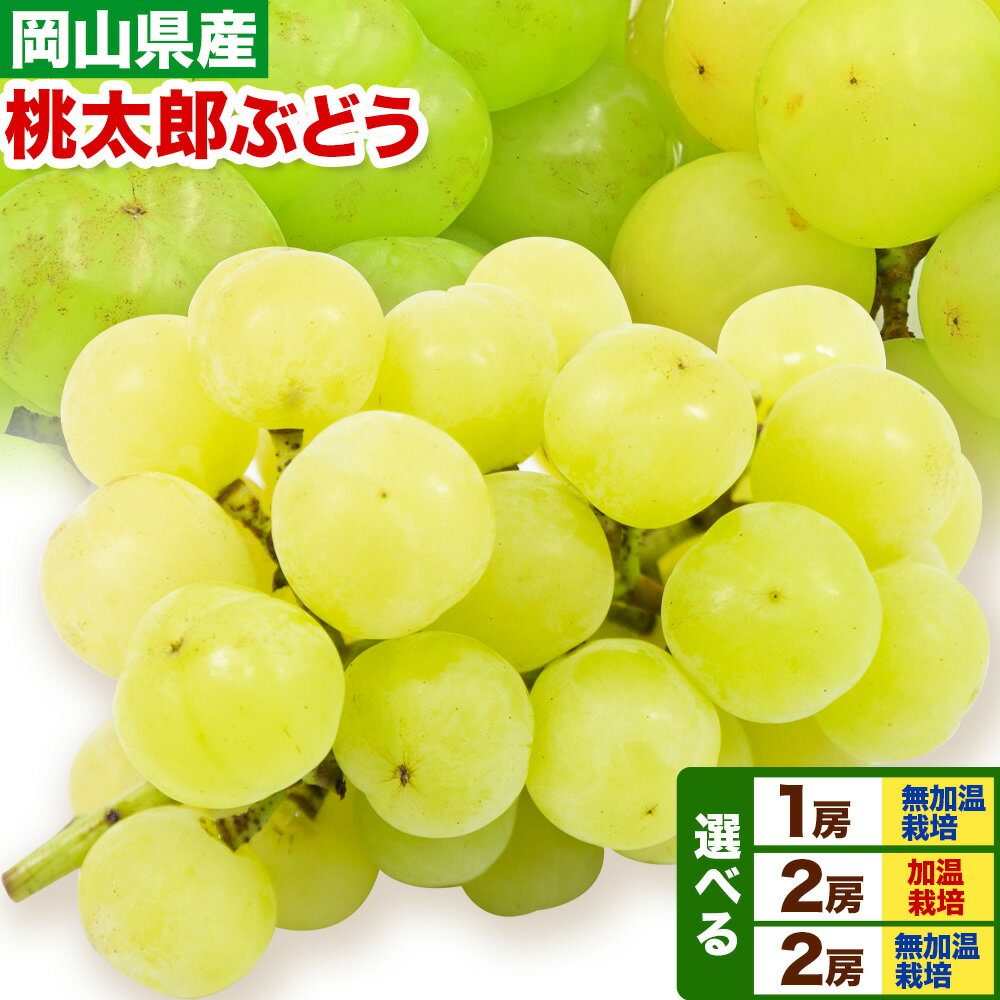 【ふるさと納税】【先行予約】岡山県産 桃太郎ぶどう 選べる 1房 2房 加温栽培 無加温栽培【配送不可地域あり】加温栽培《7月中旬-8月中旬頃に出荷予定(土日祝除く)》 無加温栽培《9月上旬-10月中旬頃に出荷予定(土日祝除く)》有限会社ホーティカルチャー神島