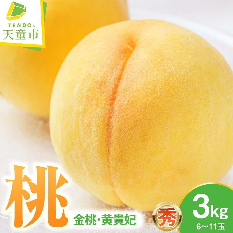 【ふるさと納税】 もも ( 金桃 ・ 黄貴妃 ) 3kg 秀 先行予約 令和8年産 2026年産 黄桃 桃 ピーチ peach フルーツ 果物 くだもの デザート 夏 9月 旬 冷蔵 ご家庭用 のし 贈答 ギフト プレゼント お取り寄せグルメ 産地直送 送料無料 【 山形県 天童市 】