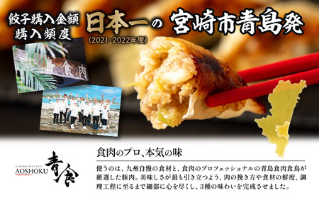 【定期便 全2回】金豚餃子セット（香港餃子・しそ餃子・にら餃子　1パック10個入×各2パック） ぎょうざ 冷凍餃子 おかず