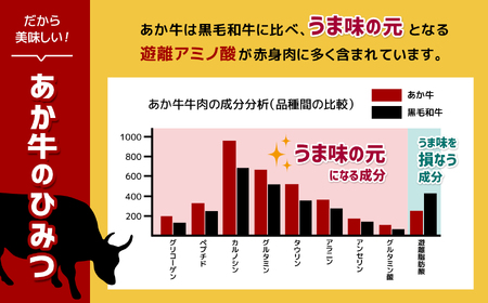 【定期便12回】あか牛 白 ホルモン 計500g (250g×2P)
