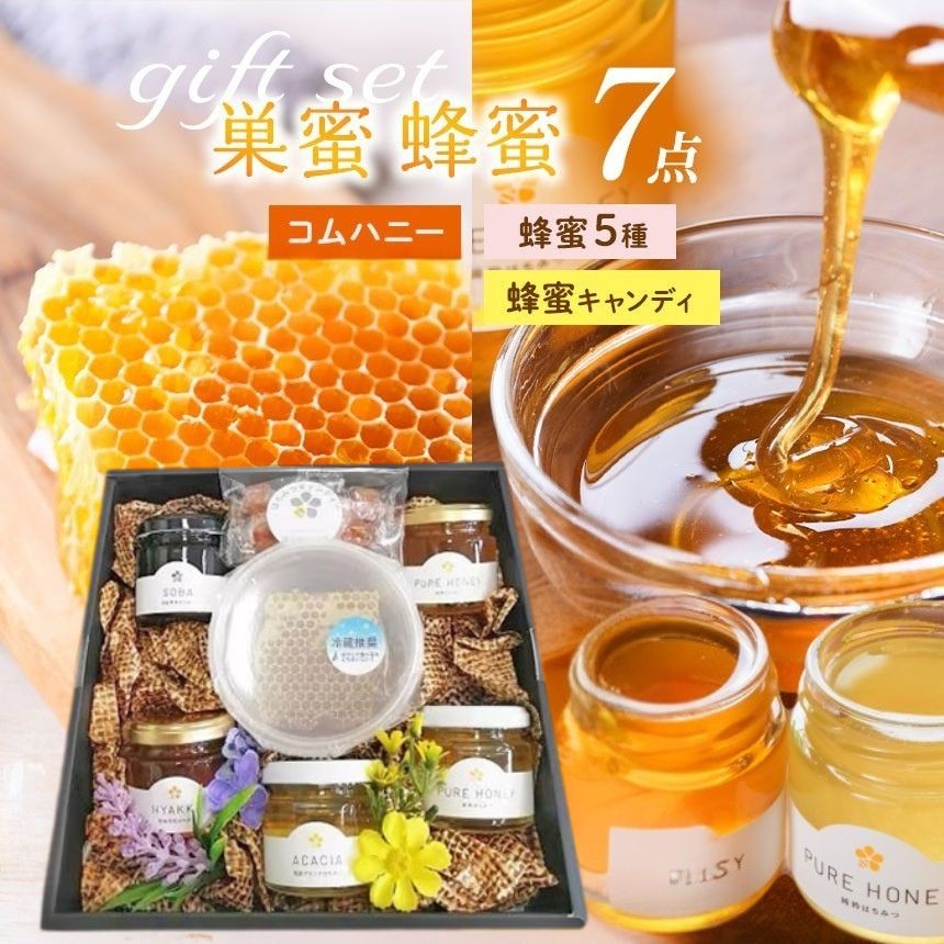 【ふるさと納税】巣蜜（コムハニー）入り 蜂蜜 7点ギフトセット｜5品種食べ比べ｜コムハニー150g 百花 アカシア そば トチ サクラ 各100g キャンディ5個｜国産 純粋はちみつ 無添加 天然 贈り物 プレゼント｜メディア紹介多数 はちみつ工房｜千葉県 君津市
