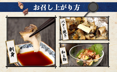 【定期便：5回】オホーツク海産 つぶの塩ゆで200g×3パック【07170】