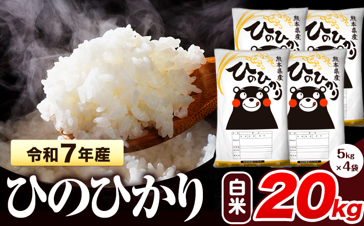 令和7年産 ひのひかり 白米 20kg 《7-14日以内に出荷予定(土日祝除く)》 熊本県産 白米 精米 氷川町 ひの 送料無料 ヒノヒカリ コメ 便利 ブランド米 お米 おこめ 熊本 SDGs---hkw_hn7_wx_40500_20kg_h---