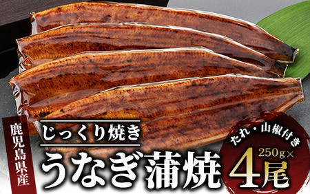 【鹿児島県産】うなぎ蒲焼じっくり焼き約250g×4尾 木目化粧箱入り(大新/038-1108) 鰻 蒲焼 うなぎ 鰻 国産 うなぎ 鰻  丑の日 うな重 無頭 うなぎ 鰻 ギフト うなぎ 鰻 ふっくら