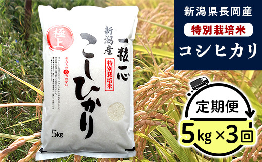 
                  48-7N053【3ヶ月連続お届け】新潟県長岡産特別栽培米コシヒカリ5kg
                