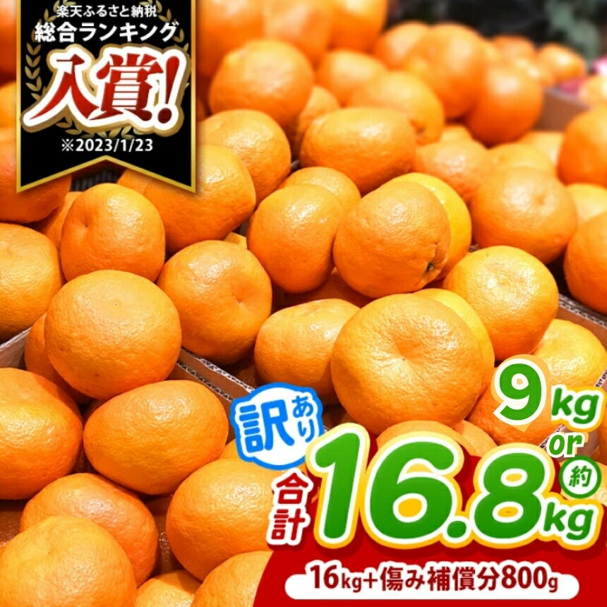 【ふるさと納税】 訳あり 熊本県産 温州 みかん 約9.5kg or 16.8kg | 果物 くだもの フルーツ 柑橘 柑橘類 みかん 温州 家庭用 大量 みかん 玉名 熊本 送料無料 不揃い 傷 小玉 大玉 混合 自宅用