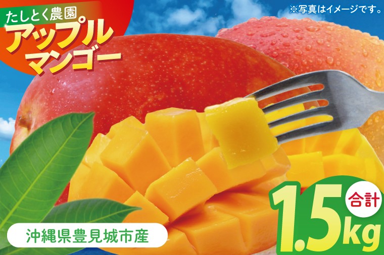
            沖縄県豊見城市産アップルマンゴー 約1.5kg｜マンゴー アップルマンゴー フルーツ くだもの 果物 数量限定 おきなわ 沖縄 沖縄フルーツ 豊見城市(DJ005)
          
