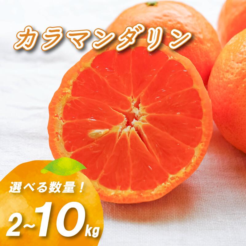 【ふるさと納税】 【4月中旬より発送】カラマンダリン 2kg / 5kg / 10kg ( 数量選択可 国産 愛媛みかん 愛媛蜜柑 愛媛ミカン みかん ミカン mikan 蜜柑 柑橘 フルーツ 果物 くだもの お取り寄せ 産地直送 数量限定 人気 おすすめ 愛媛県 松山市 送料無料 )