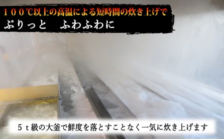 釜揚げシラス 600g 300g×2パック 【しらす】