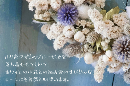 ルリ玉アザミのドライフラワーリース（KW-1）