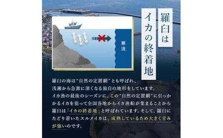 知床羅臼産 するめいかの一夜干し4枚セット（1枚250g前後）｜イカ