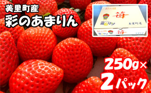 美里町産いちご【彩のあまりん】（250g以上×2パック） [No.169]