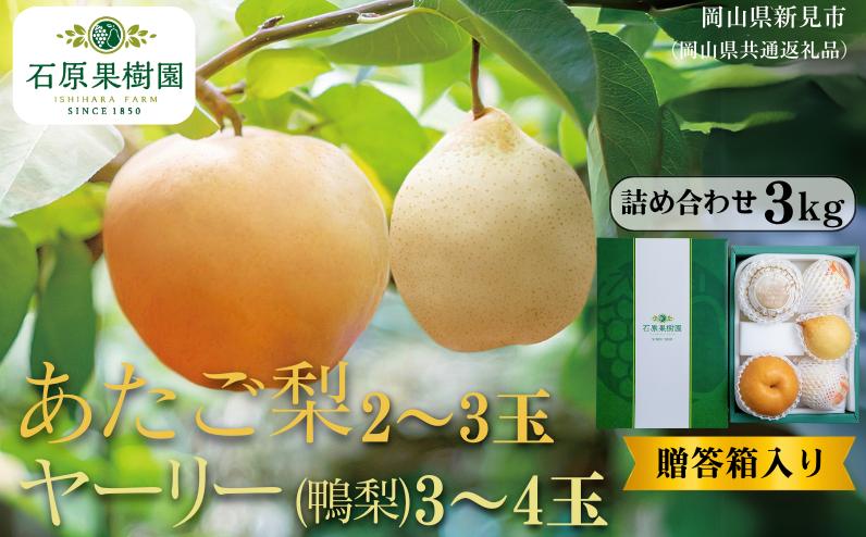 
            詰め合わせ 3kg 贈答箱 赤秀 あたご梨2～3玉・ヤーリー(鴨梨)3～4玉 【先行予約 2026年11月中旬から順次発送】
          