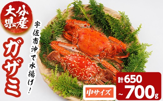 あおがざみ(計650g~700g・中サイズ7~12匹) ワタリガニ　蟹 ボイル 海鮮 かに 冷凍 【101901900】【上野水産】