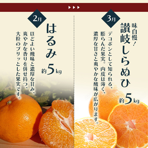 柑橘セット フジカワ果樹園 新季節 みかん 柑橘セット【定期便6回】