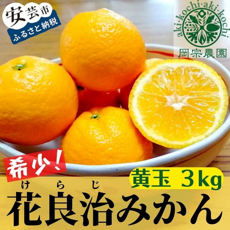 【ふるさと納税】【先行予約】【令和7年産】 みかん 黄玉 3kg フルーツ 果物 期間限定 季節限定 旬 柑橘 家庭用 自宅用 ギフト プレゼント 贈答 贈答用 花良治みかん けらじみかん オレンジ デザート スイーツ アレンジ ケーキ メリーガーデン 高知県産 高知県安芸市