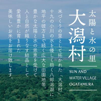 ふるさと納税 大潟村 【毎月定期便】秋田県産　あきたこまち1等　玄米　30kg全12回 |  | 02