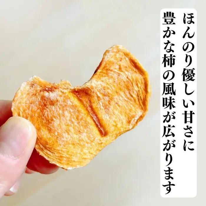 ドライフルーツ 柿チップ 400g ( 40g × 10袋 ) 和歌山県産 果物使用 自社製造 【みかんの会】