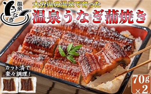 完全無投薬養殖！大分水産の温泉うなぎ蒲焼（カット）70ｇ×2 お試しにどうぞ！＜09-A0112＞