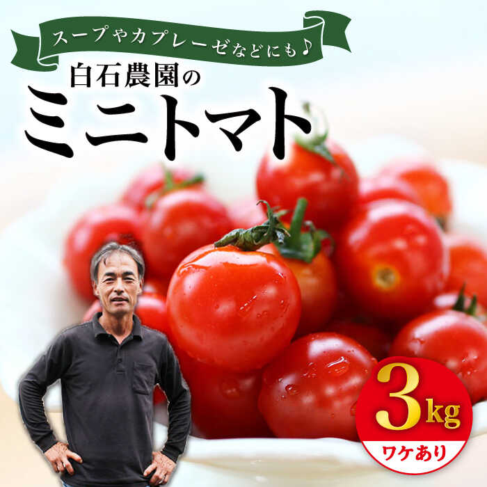 【ふるさと納税】【 訳あり 】ミニトマト 約3kg ＜白石農園＞ [CBI003] トマト 小鈴 訳あり 不揃い サラダ 料理 甘味 酸味 食べやすい 子供 野菜 甘い