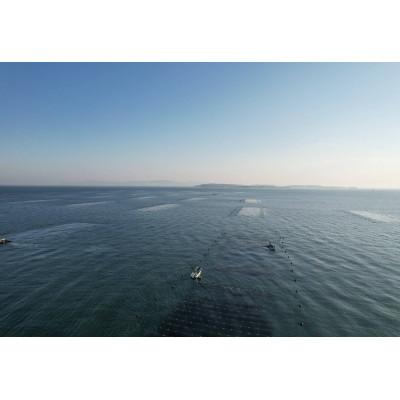 ふるさと納税 南知多町 【日間賀島】一番摘み焼のり |  | 02