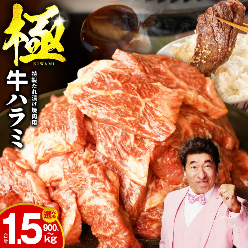 【ふるさと納税】【丸善特製ダレ】牛肉 ハラミ / 900g（300g×3） / 1.2kg（300g×4） / 1.5kg（300g×5） 【氷温熟成×極味付け】 氷温熟成牛 熟成肉 作り方 ふるさと納税オリジナル 限定 大阪府 泉佐野市 送料無料 肉の泉佐野