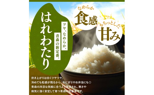 新米 鮮度を保ちやすい 真空パック ！【 12回定期便 】はれわたり 白米10kg | 米 おこめ お米 こめ コメ ごはん ご飯 白飯 ゴハン 白米 精米 特産 ブランド米 ライス 2026年産 令