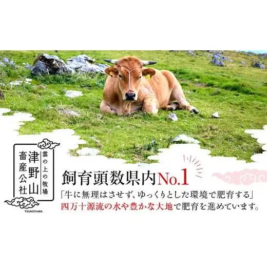 【ハンバーグ】土佐あかうしハンバーグ 2kg 200gx10個