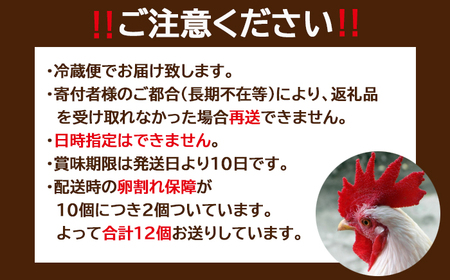 たまごファクトリーの味付ゆでたまご 合計12個（10個＋割れ保障2個） 3ヶ月定期便 ／ 卵 タマゴ たまごファクトリー 