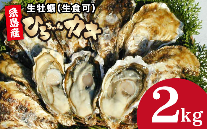 
            【日時指定可】殻付き牡蠣 2kg 牡蠣 生カキ 生食可 殻付き カキ 生牡蛎 生食可 糸島市 / ひろちゃんカキ [AJA021]
          