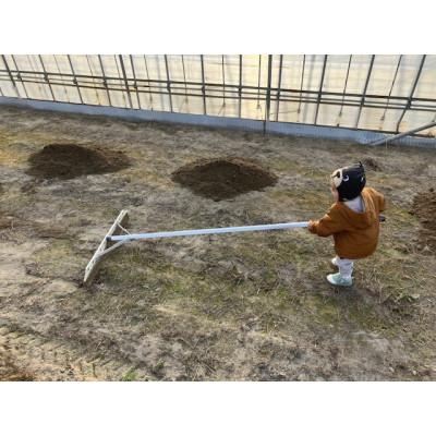 ふるさと納税 三川町 【令和7年産】ecofarmすがわらの庄内米はえぬき(精米)10kg(5kg×2袋)PS5-021 |  | 03