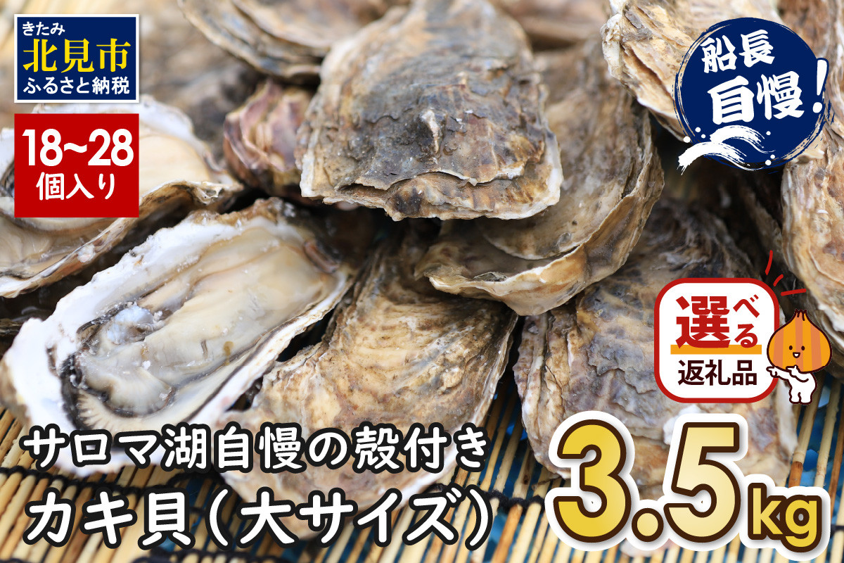 
【予約】サロマ湖自慢の殻付きカキ貝 大 3.5kg詰め ( 牡蠣 かき 濃厚 大きい 魚介類 貝類 殻付 殻付き牡蠣 BBQ バーベキュー )【114-0010-2024】
