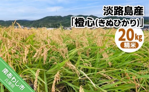 令和６年度産 新米 淡路島産「橙心(きぬひかり)」　精米20kg　◆配送9月末～