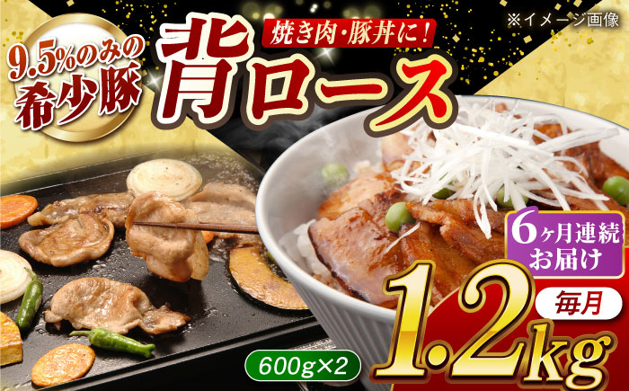 
            【月1回約1.2kg×6回定期便】大西海SPF豚 背ロース（焼肉用）計約7.2kg 長崎県/長崎県農協直販 [42ZZAA074]
          