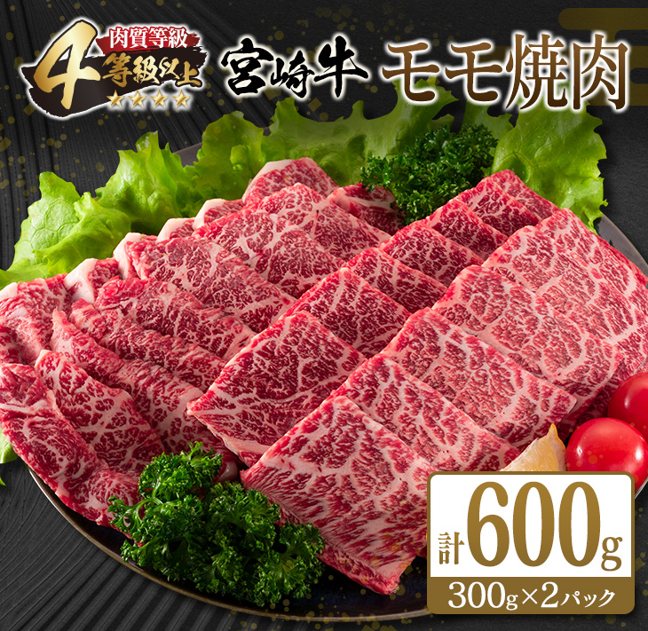 CC67-25_宮崎牛 モモ 焼肉 計600g 牛肉 ビーフ 黒毛和牛 赤身肉 国産 ブランド牛 おすすめ BBQ グランピング 鉄板焼き おもてなし ご褒美 お祝い 記念日 おすそ分け おかず