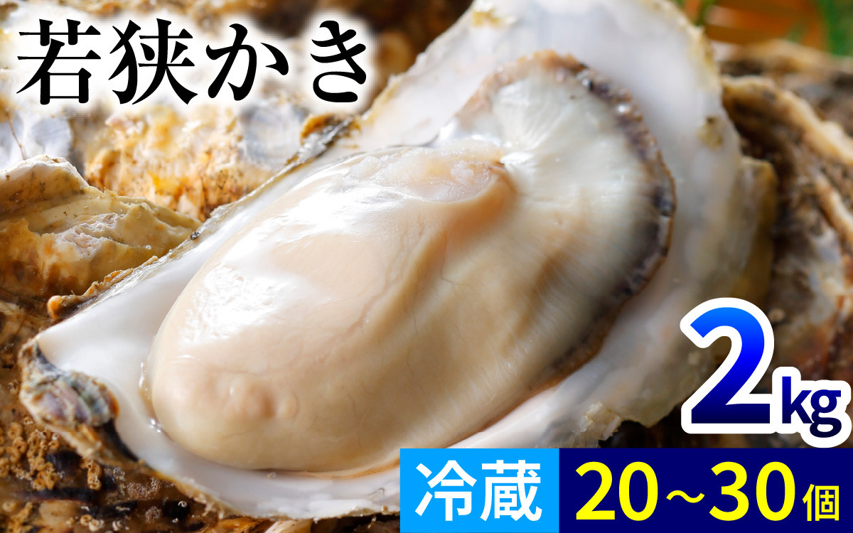 
            【先行予約/11月下旬より順次発送】【期間限定】若狭小浜ブランド　若狭かき（加熱用）２Kg 20〜30個入り  【配送不可地域：北海道・沖縄・離島】  [BFAO010] 
          